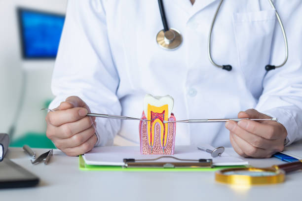 Best Emergency Dentist for Lost Fillings or Crowns in Fort Thompson, SD
